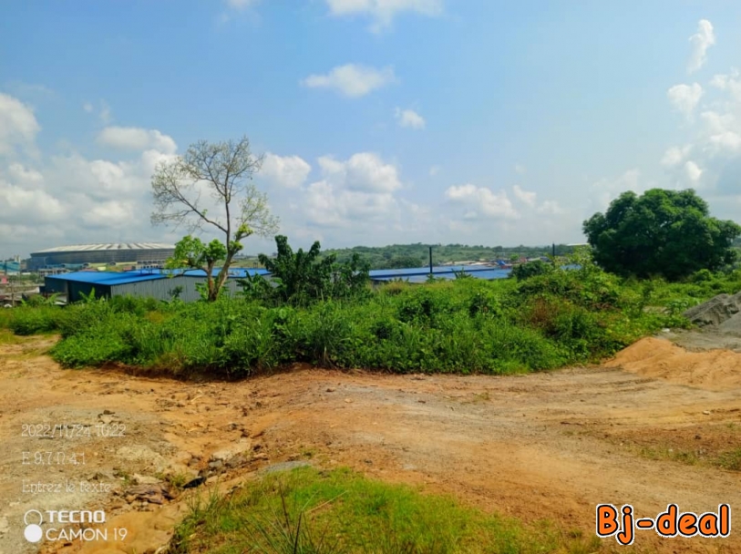 Main image of Terrain a vendre yassa