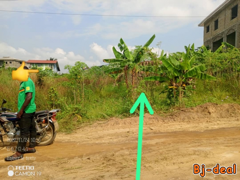 Main image of Terrain à vendre yassa