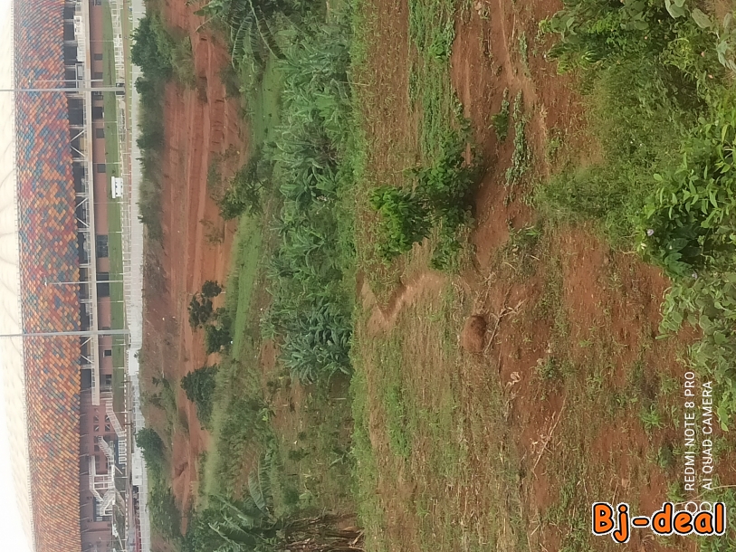 Image principale de Terrain à vendre à olembe