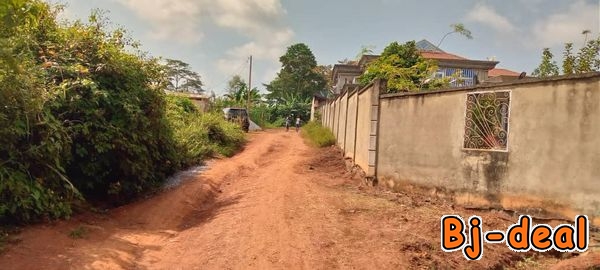 Main image of Pour une urgence familiale un propriétaire brade