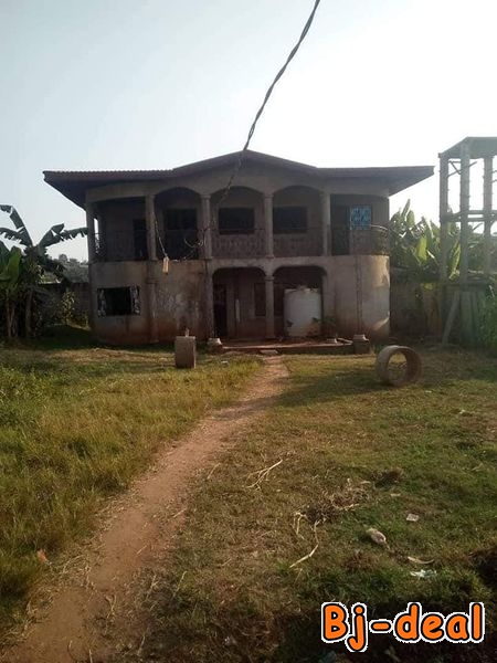 Main image of Duplex inachevé à vendre à Odza Messamendongo