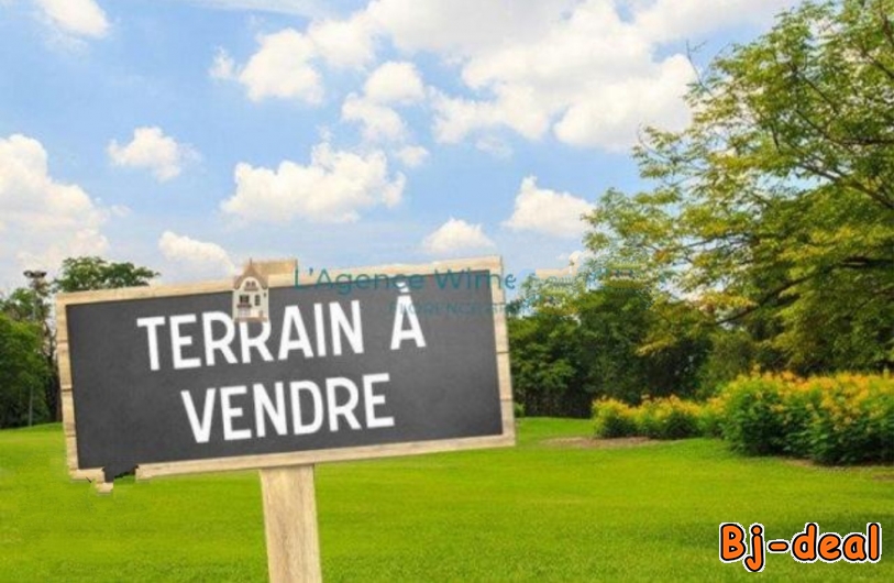 Main image of 5000m2 de terrain à vendre à Ydé