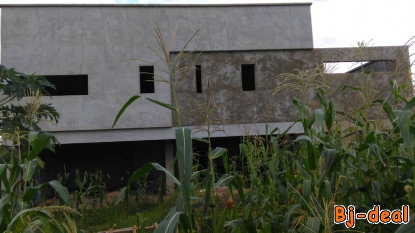 Image principale de Vente des services et biens immobiliers