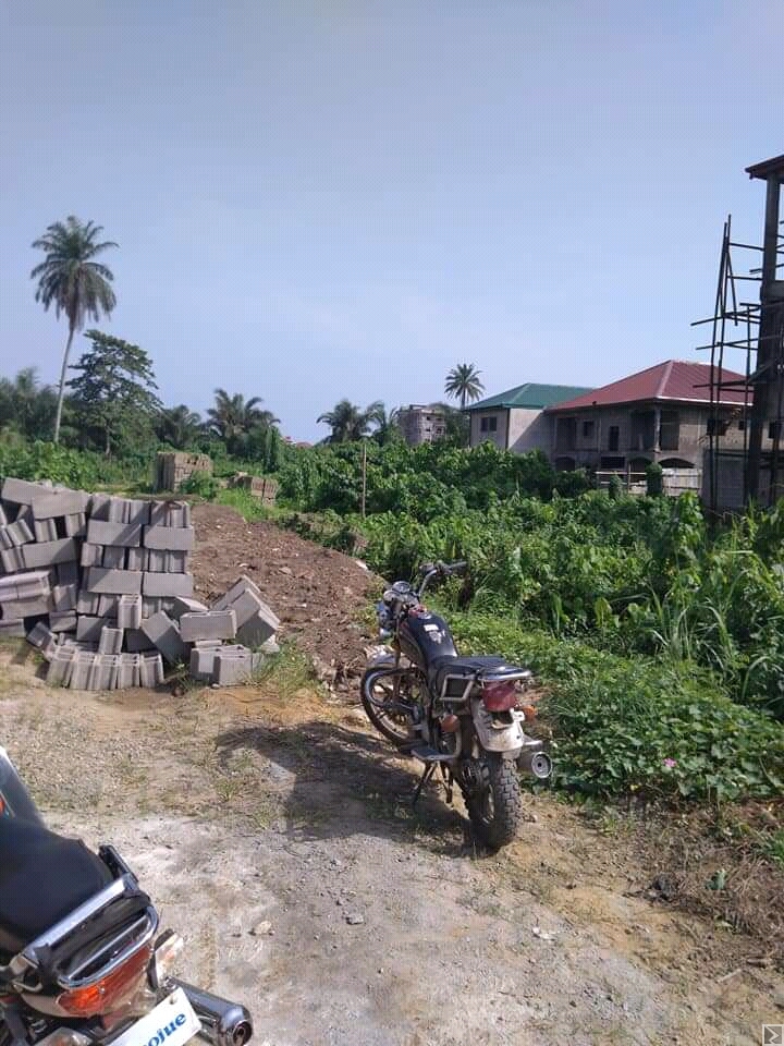 Image principale de terrain titré a vendre denver bonamoussadi