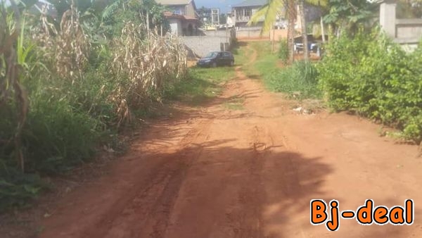 Main image of Terrain titré  à vendre à Awae Ewankang