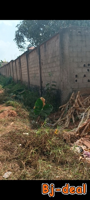 Main image of vente Terrain titré a Ekié