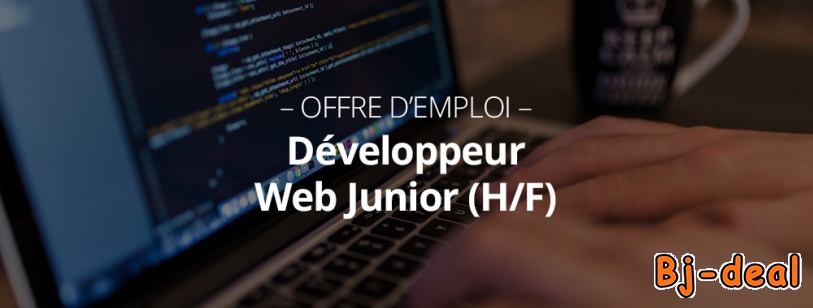 Image principale de Développeur web