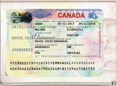 Main image of Services Voyages et Tourisme