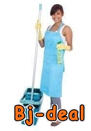 Main image of Placement du personnel de maison