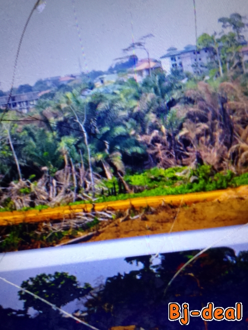 Main image of Vente de terrain 1500m2 à Ndong par odja