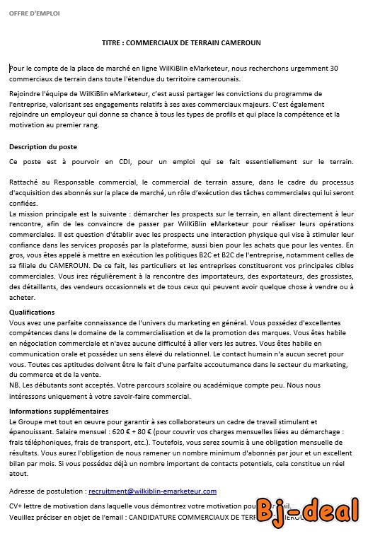 Main image of COMMERCIAUX DE TERRAIN CAMEROUN