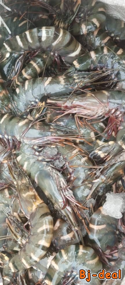 Main image of Gambas fruits de mer