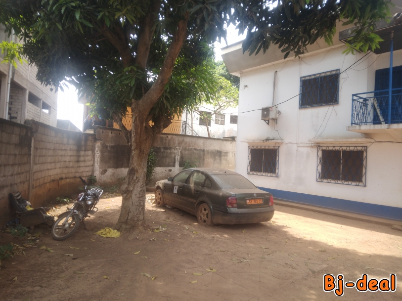 Main image of DEUX DUPLEX  BÂTIS SUR 1 123 M2