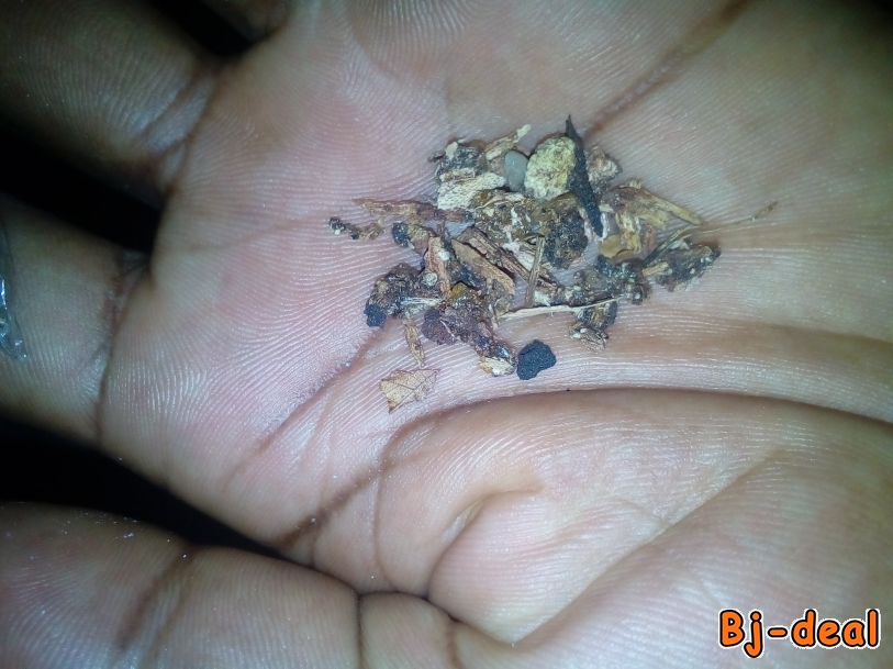 Main image of Pour tous vos problèmes de vols