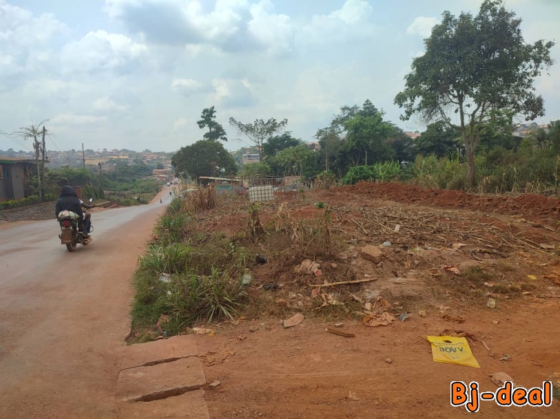 Main image of Terrain à vendre à Damas en Route