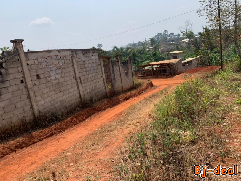 Main image of Terrain de 350m2 Titrés à vendre à Nomayos