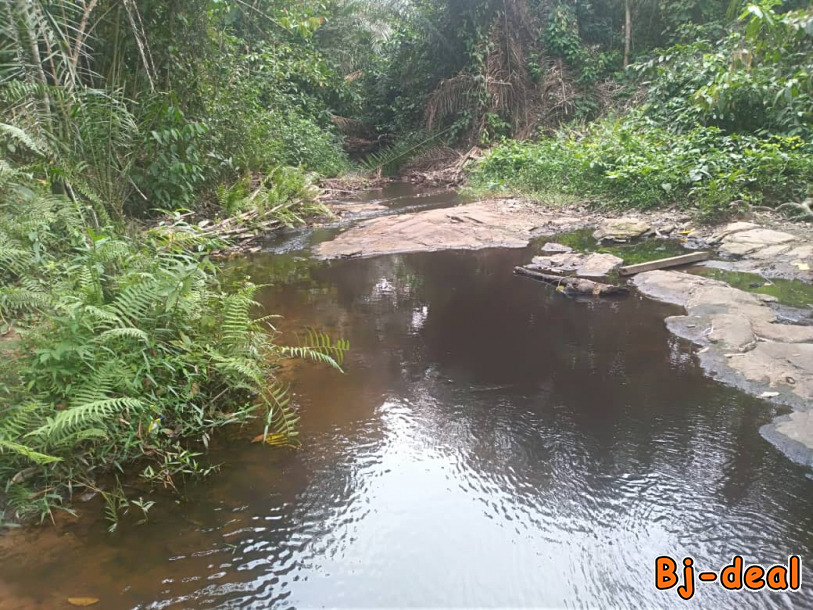 Main image of Vente de terrain agricole non titré de 50ha