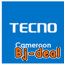 Main image of RESPONSABLE INFORMATIQUE A TECNO CAMEROUN
