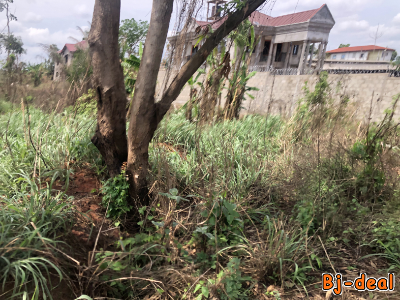 Main image of Terrain Titré Lotis à vendre