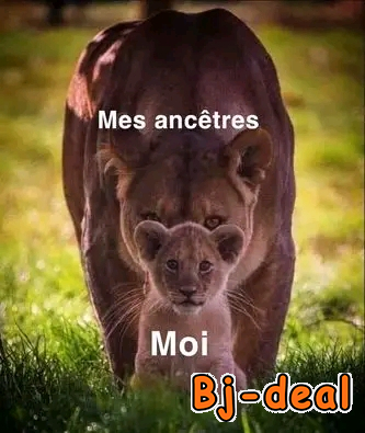 Image principale de Juste pour vous faire plaisir les DAMES