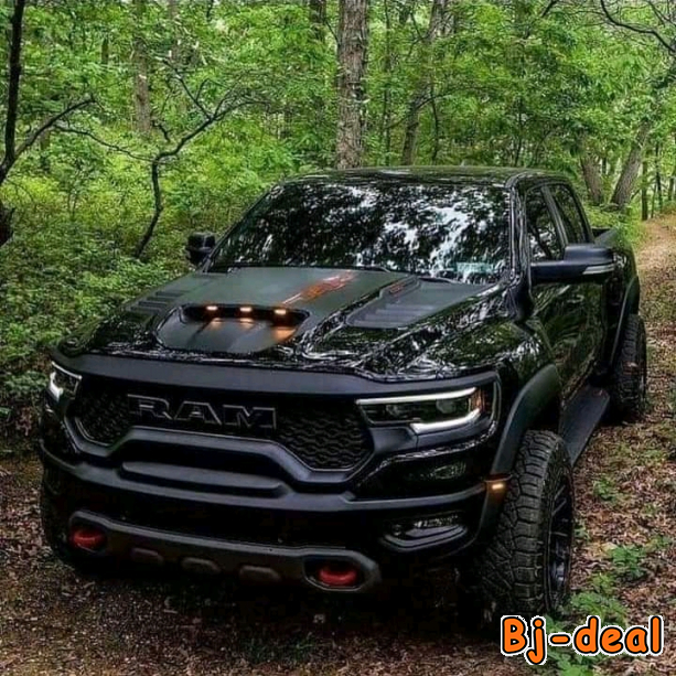 Image principale de Location de terrains dans une forêt vierge