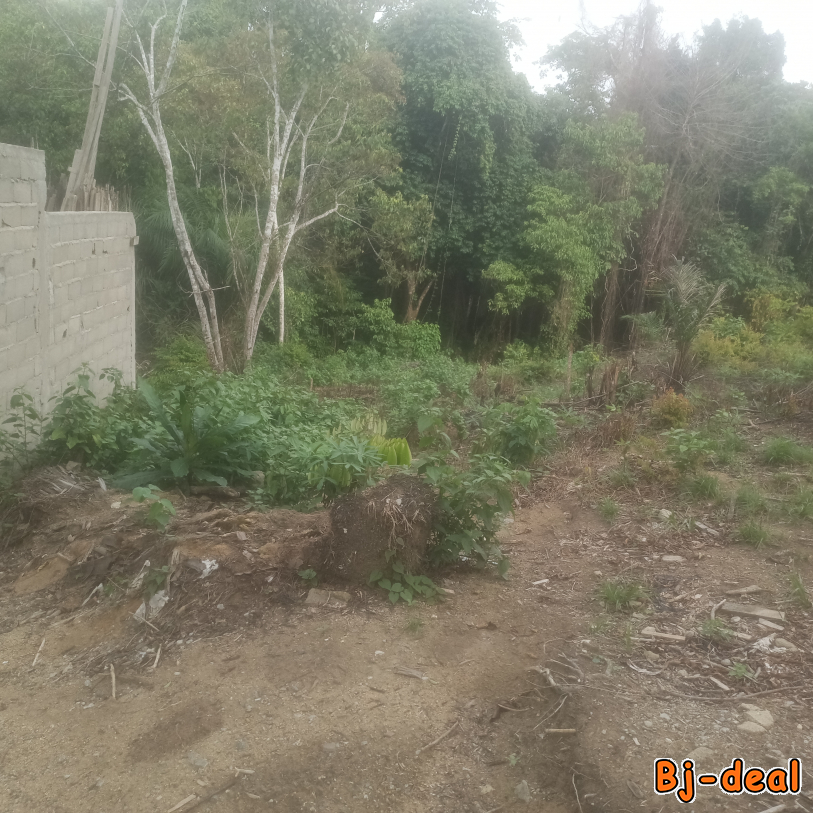 Main image of 1000m de terrain a vendre bomono gare