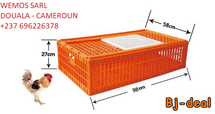 Main image of Caisse de transport pour volaille