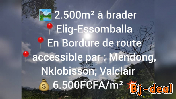 Main image of Terrain de 2500m2 à vendre à Eloumdem en Route