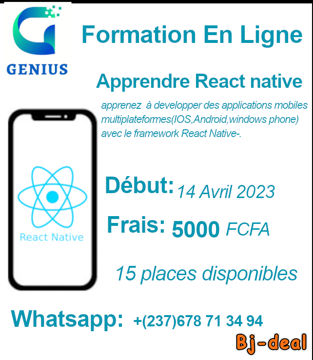 Main image of Formation en ligne sur le framework react native