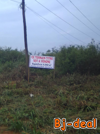 Main image of Terrain titré à vendre 5000 m2