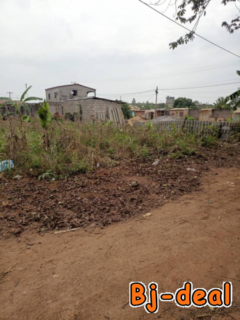 Main image of terrain titré à vendre