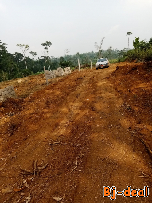 Main image of terrain titré et lotis à vendre