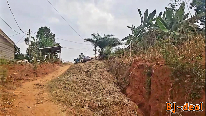 Main image of terrain titré à vendre