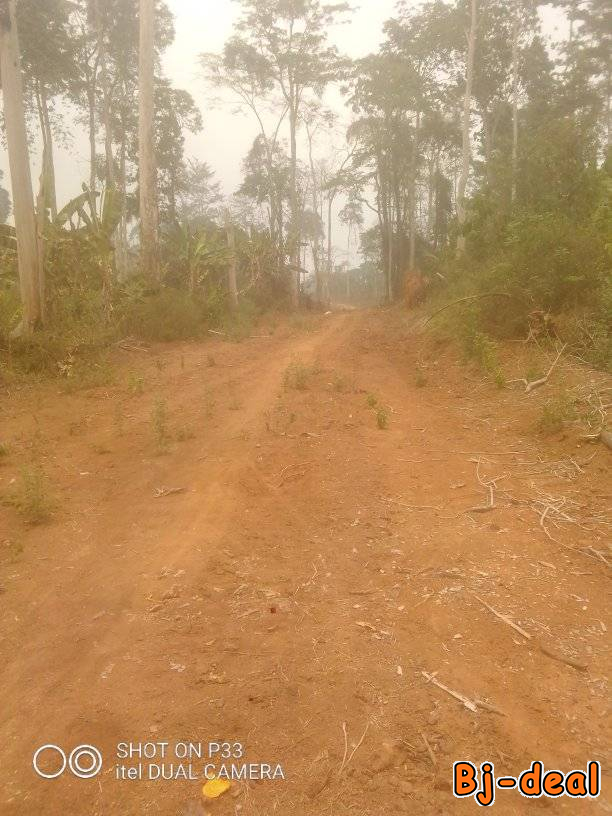 Main image of 1000m2 de terrain à vendre