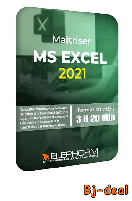 Image principale de Maîtriser Excel 2021- 3h 20 Min 7Gb