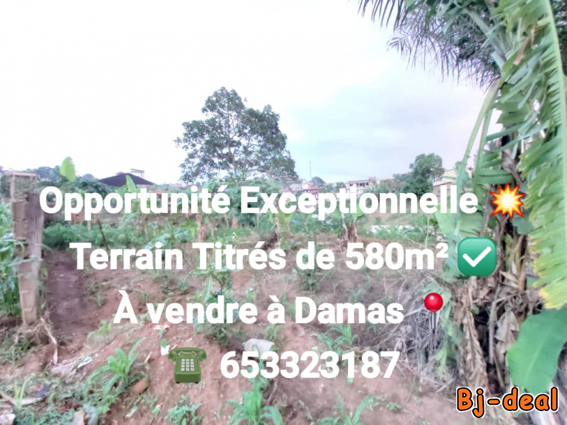 Main image of Terrain de 580m2 à vendre à Maison Damas