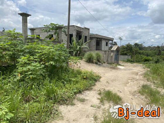 Image principale de Terrain à vendre à Japoma