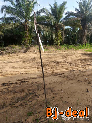 Image principale de Terrain titré à vendre à PK30