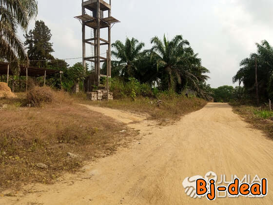 Image principale de Terrain titré à vendre à pk21