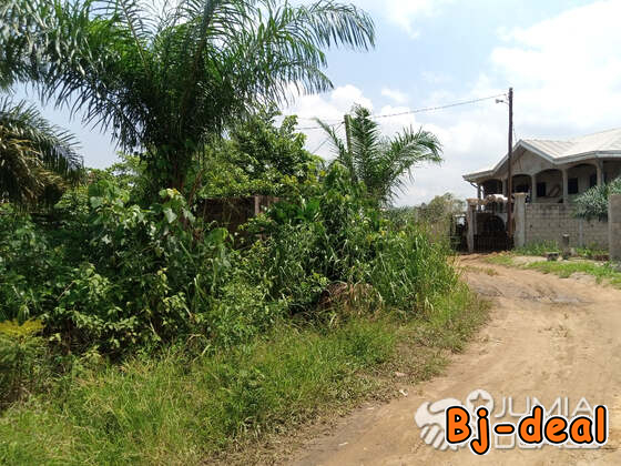 Image principale de Terrain titré à vendre à PK21