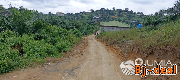 Image principale de Terrain titré à vendre à PK14