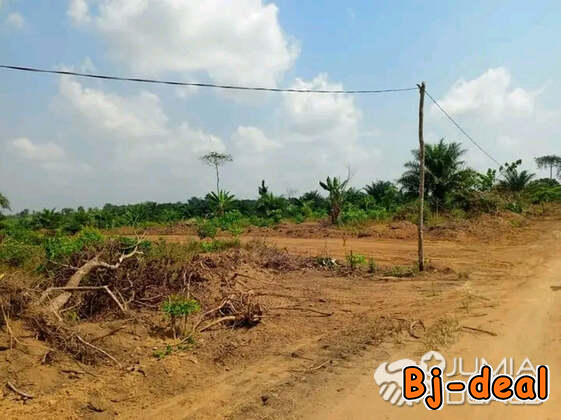 Image principale de Terrain à vendre à PK23