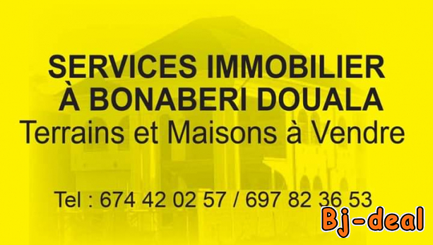 Image principale de Terrain 500m2 a vendre a Bonaberi ancient Route