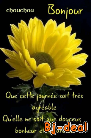 Image principale de Sensations fortes et inoubliables