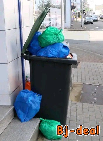 Main image of sacs a ordures