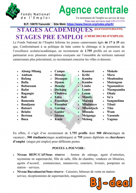 Image principale de STAGES DE VACANCES ET PRE EMPLOI