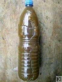 Image principale de Écorce pour grossir le penis