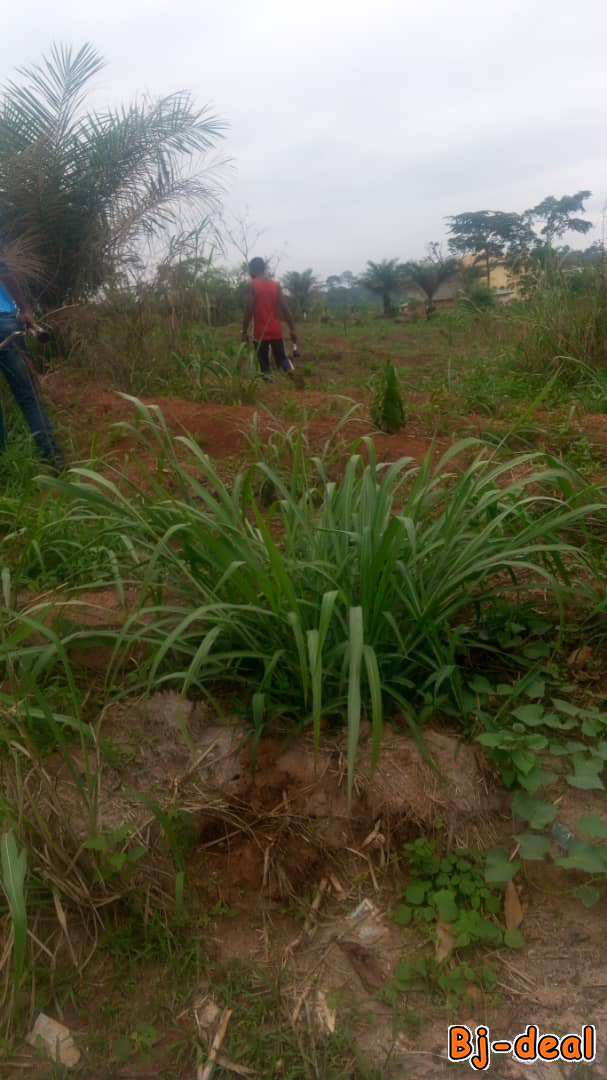 Main image of Terrain titré dans une zone fortement habitée