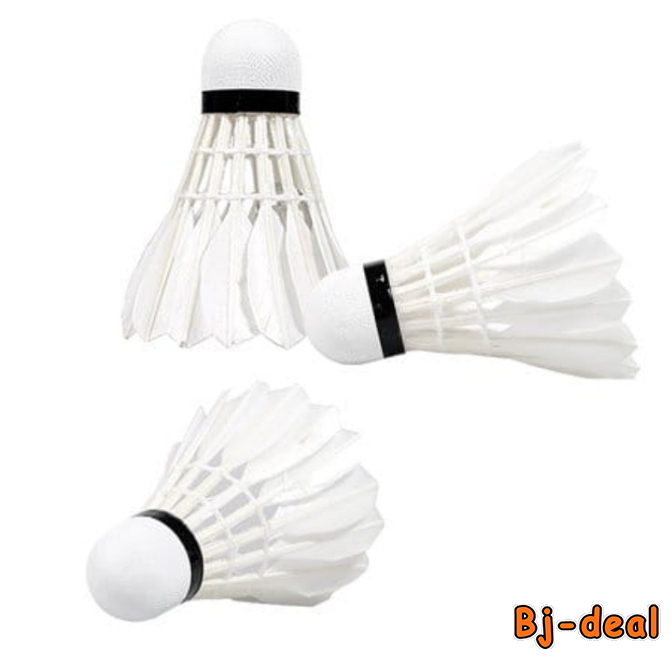 Image principale de Lot de 3 Balles de Badminton