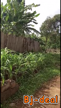 Main image of Terrains titré à Yaoundé bastos